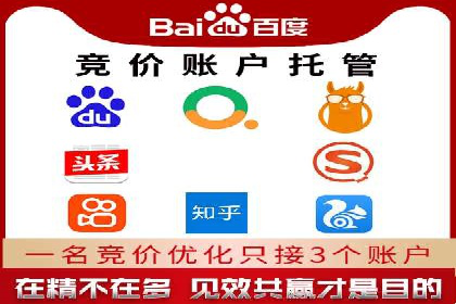 百度推广代理商成功案例：某行业巨头背后的推手